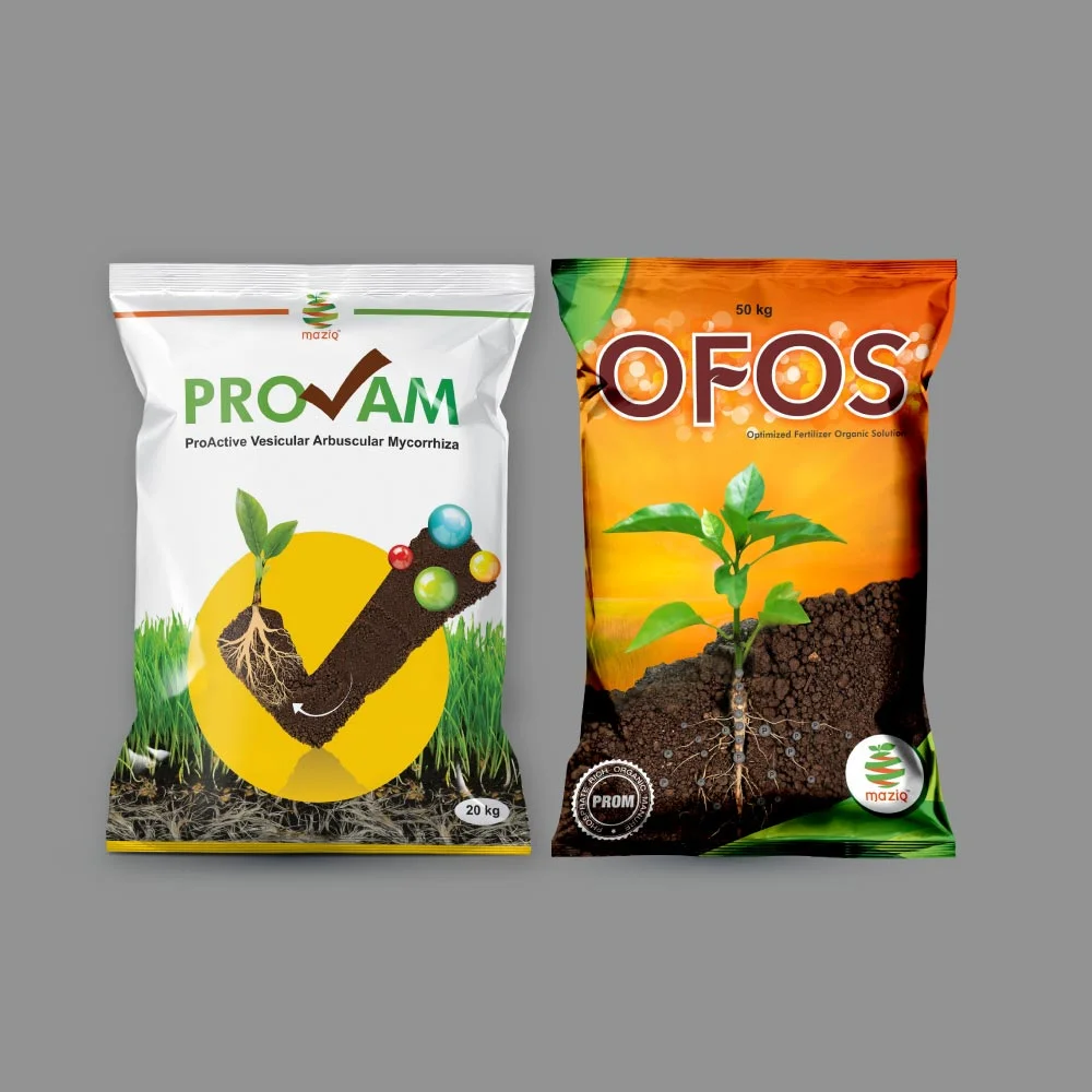 Product Packaging